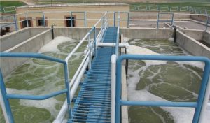 پساب صنعتی؛ زخمی عمیق بر زمین‌های کشاورزی