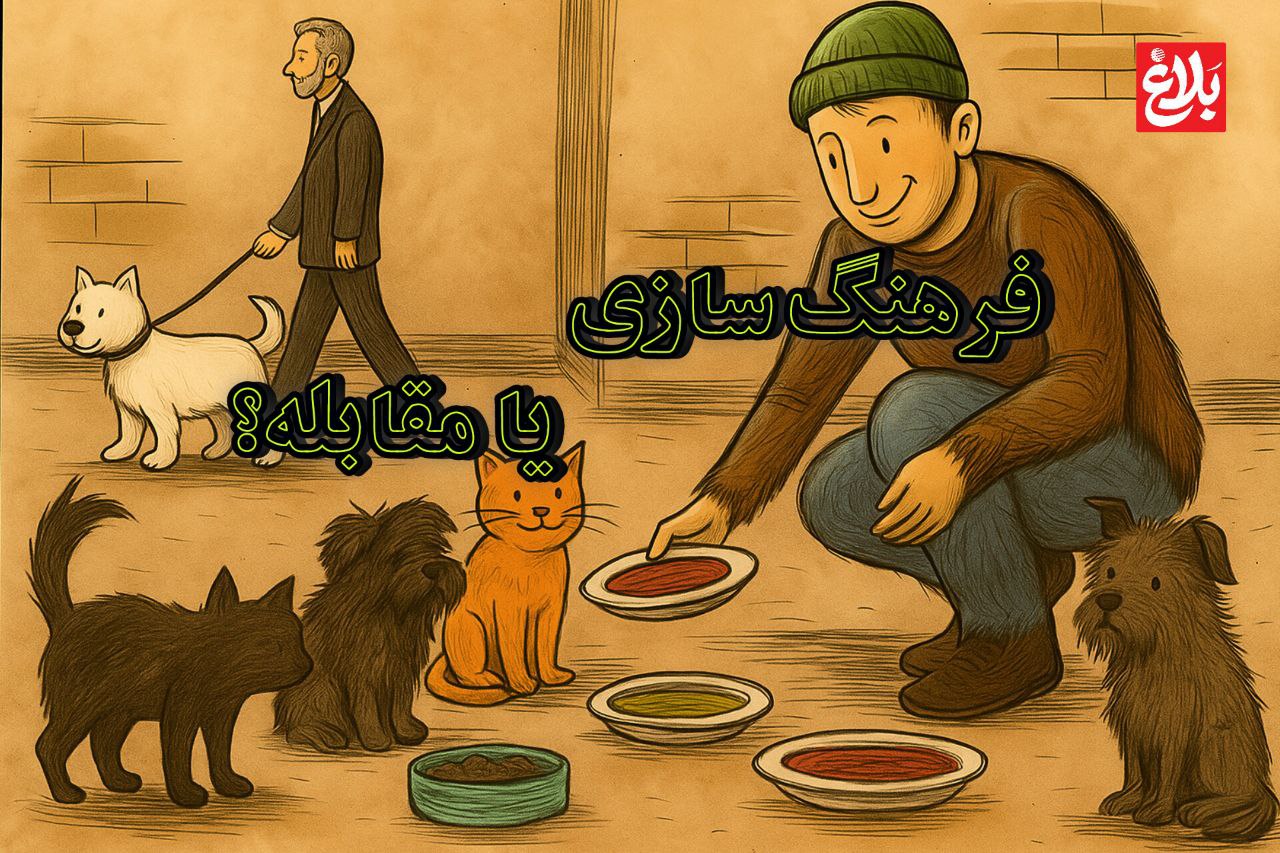 فرهنگ‌سازی یا مقابله؟