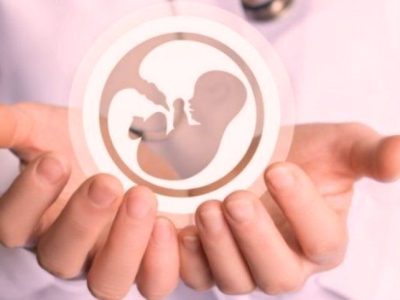 پرداخت بیش از ۳۱۱ میلیارد ریال برای درمان زوجین نابارور در مازندران