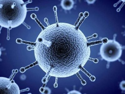 شباهت در انتقال، تفاوت در پیامد