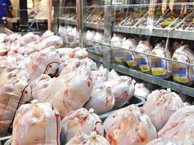 مازندران روزانه صدها تُن مرغ به تهران و استانهای دیگر ارسال میکند