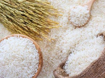 برنج مازندران باید هویت‌دار، قابل رهگیری و دارای برند واحد شود