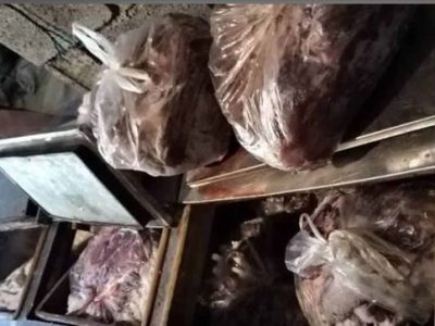 کشف گوشت گراز در شهرستان ساری