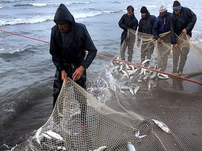 پایان ماهیگیری صیادان مازندران از خزر