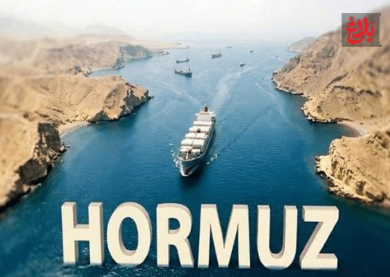 «تنگه هرمز» زنگ خطری برای زنجیره تأمین جهانی است