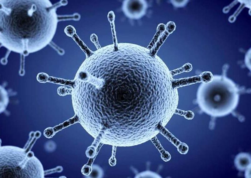 شباهت در انتقال، تفاوت در پیامد