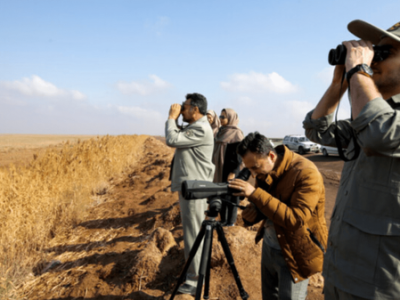 پایش زمستانه پرندگان مهاجر در زیستگاه‌های مازندران